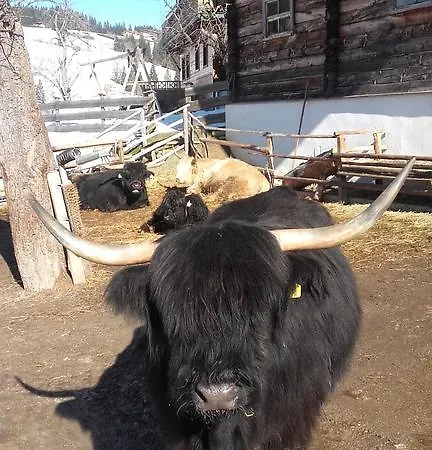 Arlerschmied Pension/appartment Gasthuis Wagrain