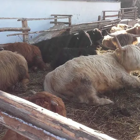 Gasthuis Arlerschmied Pension/appartment Wagrain