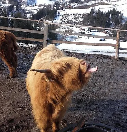 Arlerschmied Pension/appartment