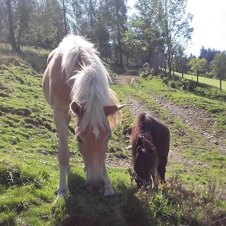 Gasthuis Arlerschmied Pension/appartment