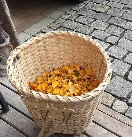 Arlerschmied Pension/appartment Wagrain