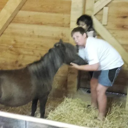 Arlerschmied Pension/appartment Gasthuis Wagrain