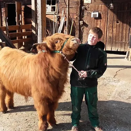 Arlerschmied Pension/appartment