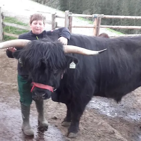 Arlerschmied Pension/appartment 3*