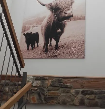 Arlerschmied Pension/appartment 3* Wagrain