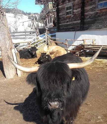 Arlerschmied Pension/appartment Penzion Wagrain