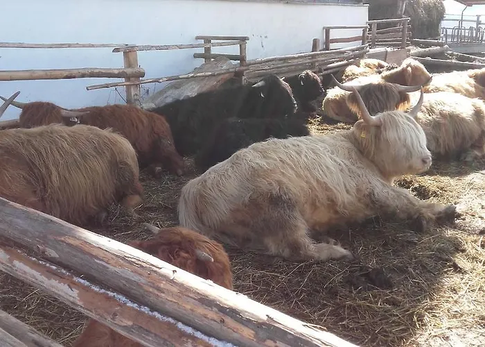 Penzion Arlerschmied Pension/appartment Wagrain