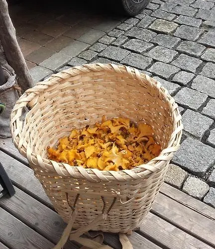 Arlerschmied Pension/appartment Wagrain