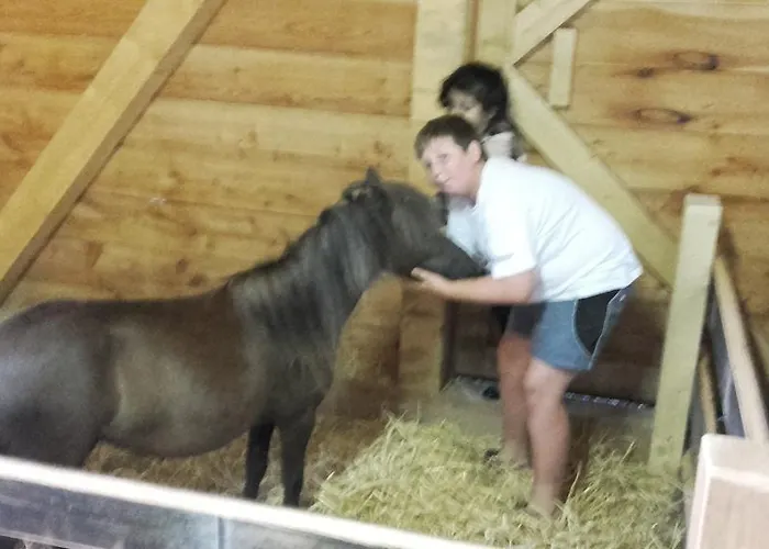 Arlerschmied Pension/appartment Penzion Wagrain