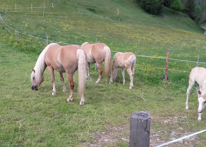 Penzion Arlerschmied Pension/appartment Wagrain