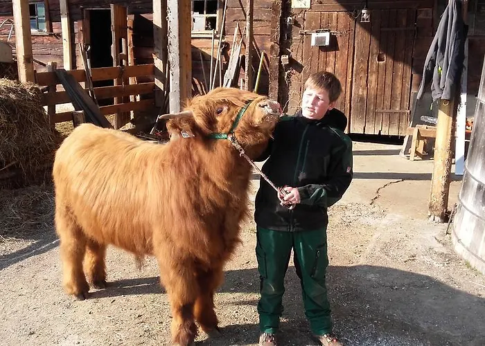 Arlerschmied Pension/appartment