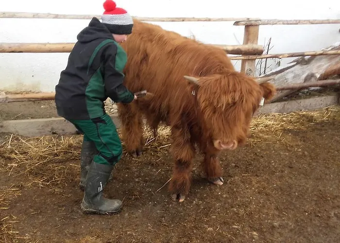 Penzion Arlerschmied Pension/appartment